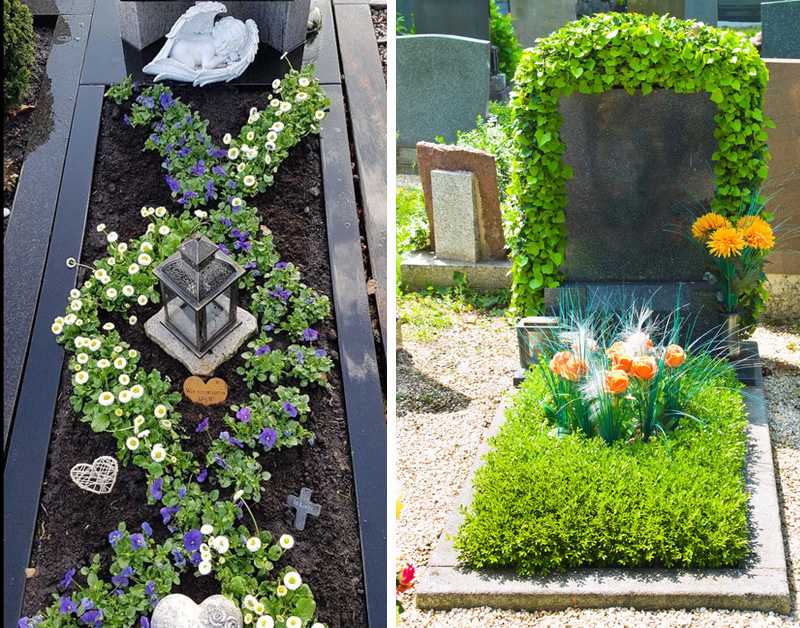 Какие растения посадить на кладбище