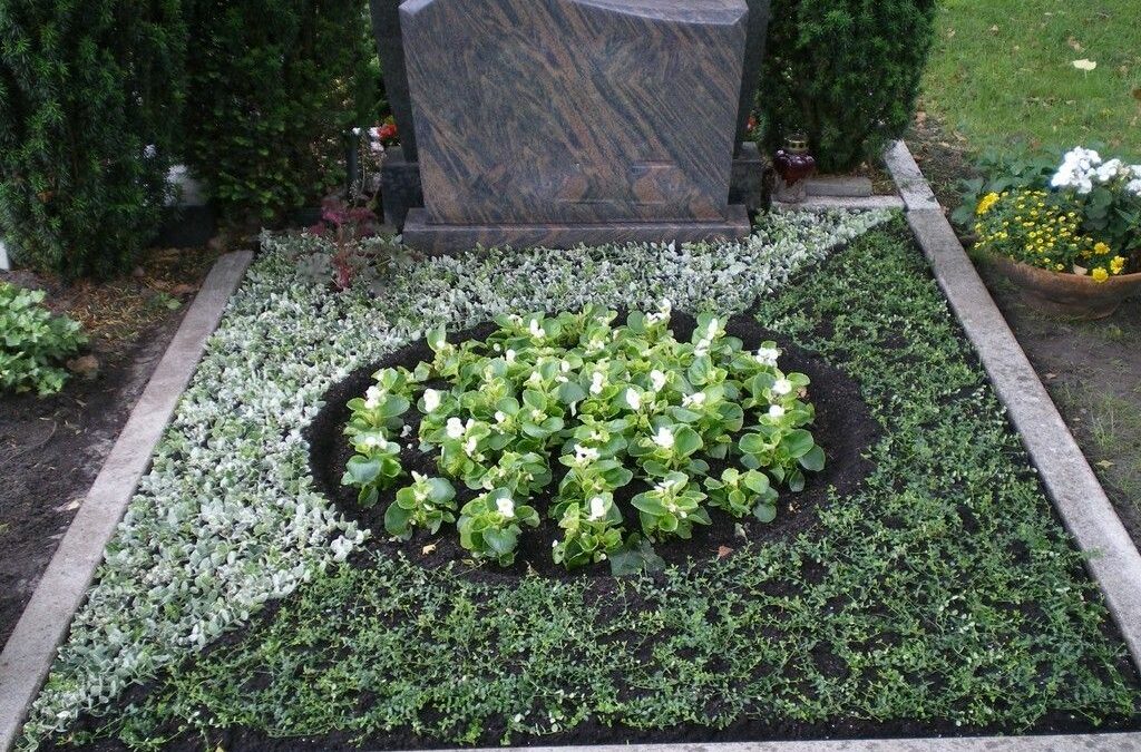 Какие растения посадить на кладбище